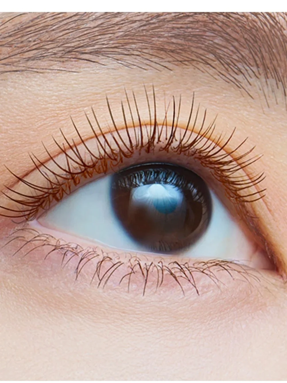 Fiberwig Mascara in Deep Black - Red Tube